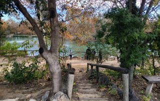 Escaleras de madera hacia el Lago de Anna, con árboles y vistas al agua en otoño