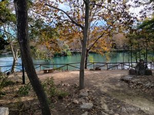 Vista del Lago de Anna entre árboles, con el agua verde turquesa y el paisaje otoñal