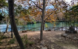 Vista del Lago de Anna entre árboles, con el agua verde turquesa y el paisaje otoñal