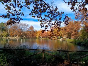 Vista del Lago de Anna en otoño, con árboles de colores reflejados en el agua