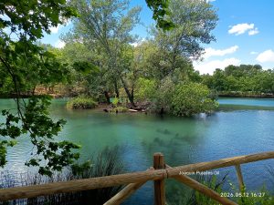 Isla central rodeada por las aguas del Lago de Anna