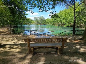 Banco y zona de descanso junto a la orilla del Lago de Anna