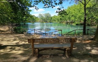 Banco y zona de descanso junto a la orilla del Lago de Anna